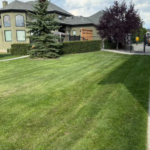 What Lawn Maintenance Fort Saskatchewan Services Include
