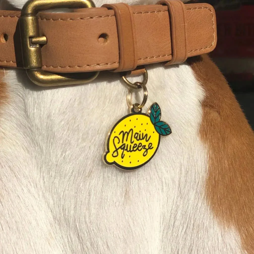 Custom Squeeze Tags: A Flexible Solution for Secure and Smart Branding