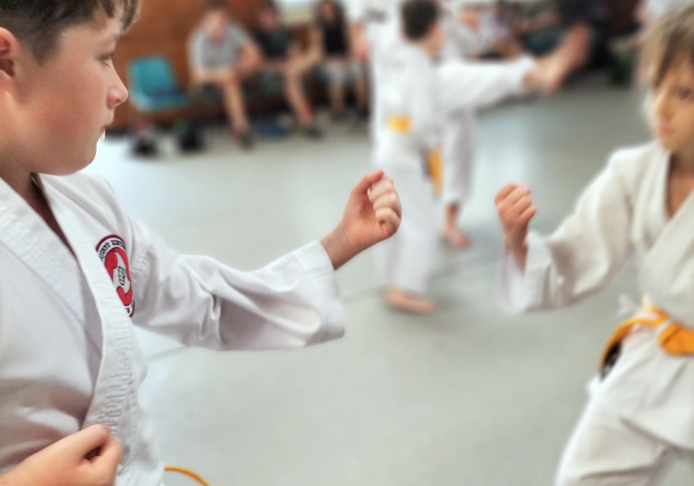 Karate for kids