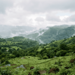 Monsoon Destinations in India That I Personally Love Visiting When the Rains Arrive