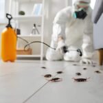Pest Control Services Sydney: Professional Solutions for Homes and Businesses